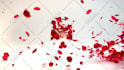 create an nature flower flying leaves intro