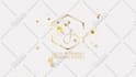create luxury golden and silver intro logo animation