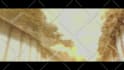 make a professional high quality anime intro or amv 4k