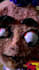 manufacture epic puppet video