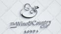 create luxurious logo animation reveal for brands