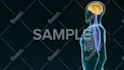 3d animation for you