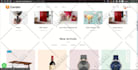 develop a responsive ecommerce wordpress website