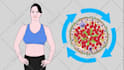 draw image based animate vector illustrations for facebook ads