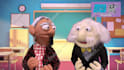 record a doctor or professor puppet video about anything