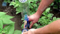 create DIY life hacks and hacks video