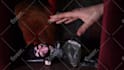 craft a stop motion animation for you