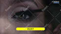 make, edit, design professional videos and animations