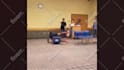 create reddit funny videos with sound compilation video