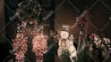 edit your short film with cinematic color grading and sound design