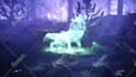 create 4k lone wolf howling logo intro animation