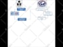 create customized animated flowchart