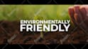 produce corporate video ads with great editing and sound effects