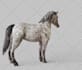 3d model your pet for 3d print
