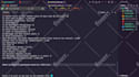 perform python data wizardry by extracting from  pdfs, images, web and apis