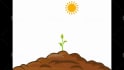 create animated stop motion video for you