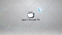 design youtube intro outro or logo animation