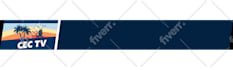 create custom logo sting or reveal animation