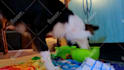 create crowdfunding, fundraising, charity, commercial or kickstarter video