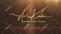 create luxury gold silver logo intro