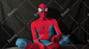 say anything as spiderman