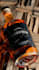 do vfx clean up, object removal and replacement for video