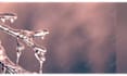 be your video editor plus intro and outro creation