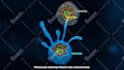 produce a high caliber medical 3d animation