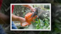 create promotional youtube slideshow video, free samples