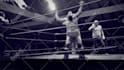 do anything in final cut pro custom fcpx plugins  templates in 24 hours
