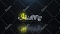 make an amazing neon light logo intro animation for you