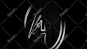 create 10 logo intro animation within 24 hours