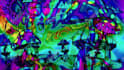 make trippy psychedelic animated lyric video and visualizer