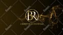 do luxury gold logo reveal animation