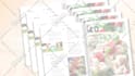 create your book trailer or magazine promo