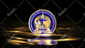 create best luxury logo reveal intro