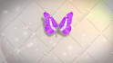 create butterfly logo  intro animation in HD
