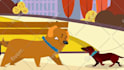 create a custom animated explainer video in english or german