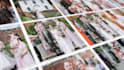 create mosaic photo reveal video