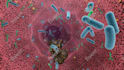 do 3d medical animation