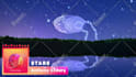 create 3d music video animation