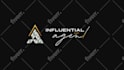 create professional custom 4k logo animation