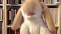 sing happy birthday with my rabbit puppet