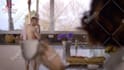 create a marketing video for real estate