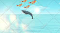 create 2d animation and motion graphics for your business