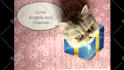 record my cat break through your birthday card