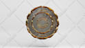 do a professional 3d coin model