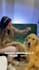 create ugc dog content for tiktok or video ads