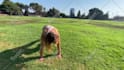 make incredible fitness and workout videos