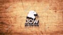 do stunning animated logo intro videos in 24 hours